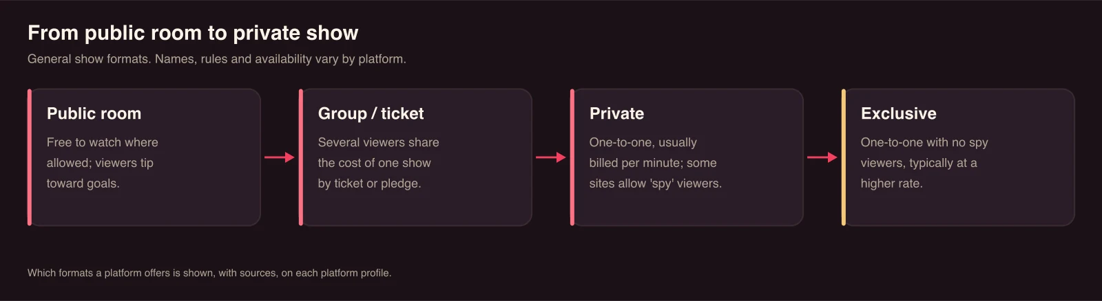 Diagram of show formats from cheapest to most exclusive: free public rooms with tipping, group or ticket shows where viewers share the cost, private one-to-one shows that some sites let others spy on, and exclusive shows with no spy viewers at a higher rate.